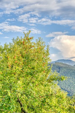 Morning Nature landscape in mountains. Vlkolinec, Slovakia.