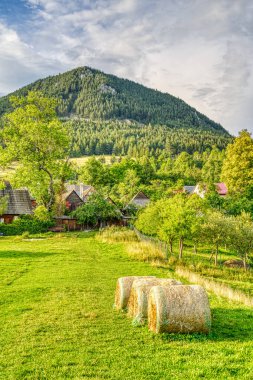 Slovakya, Doğu Avrupa'da güzel Vlkolinec geleneksel köyde Ahşap beyaz kulübeler