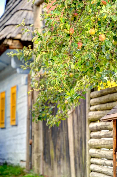 Деревянные Белые Хижины Красивой Vlkolinec Традиционной Деревне Словакии Восточная Европа — стоковое фото