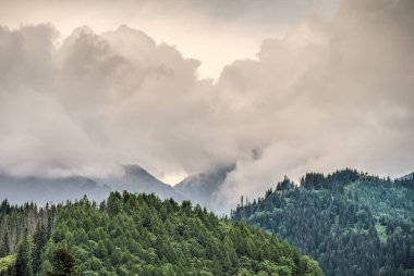 Tatranska Javorina köyündeki yüksek Tatras dağı, Slovakya Cumhuriyeti