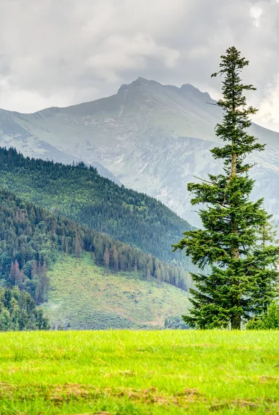 Alta Montaña Tatras Pueblo Tatranska Javorina República Eslovaca — Foto de Stock