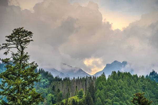 斯洛伐克共和国Tatranska Javorina村的Tatras高山 — 图库照片