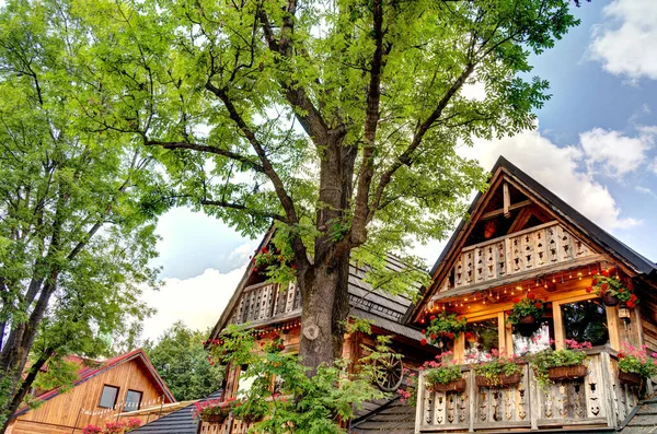 Uitzicht Stad Zakopane Zuid Polen Tatragebergte — Stockfoto