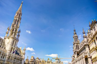 Brüksel, Belçika - Temmuz 2014: Güneşli havada tarihi merkez