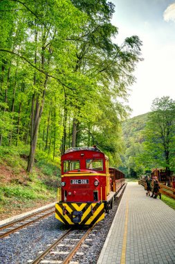 Lillafred, Macaristan - Ağustos 2022: Yaz mevsiminde resim gölü tatil beldesi