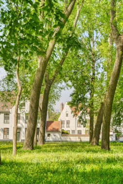 Brüksel, Belçika - Mayıs 2022: Güneşli havada tarihi merkez, HDR Görüntü