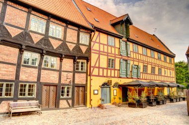 Odense, Danimarka - Ağustos 2022: Yazın Tarihi Merkez