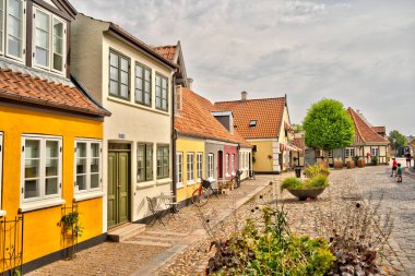 Odense, Danimarka - Ağustos 2022: Yazın Tarihi Merkez