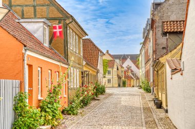 Odense, Danimarka - Ağustos 2022: Yazın Tarihi Merkez