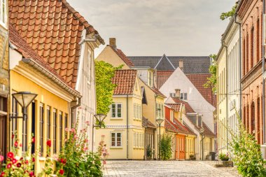 Odense, Danimarka - Ağustos 2022: Yazın Tarihi Merkez