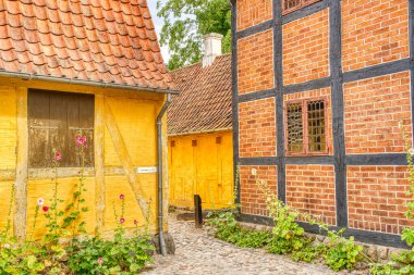 Odense, Danimarka - Ağustos 2022: Yazın Tarihi Merkez