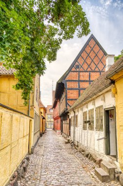 Odense, Danimarka - Ağustos 2022: Yazın Tarihi Merkez