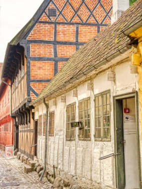 Odense, Danimarka - Ağustos 2022: Yazın Tarihi Merkez