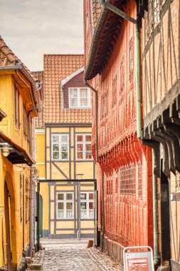 Odense, Danimarka - Ağustos 2022: Yazın Tarihi Merkez