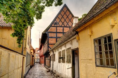 Odense, Danimarka - Ağustos 2022: Yazın Tarihi Merkez