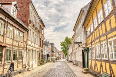 Odense, Danimarka - Ağustos 2022: Yazın Tarihi Merkez