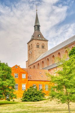 Odense, Danimarka - Ağustos 2022: Yazın Tarihi Merkez