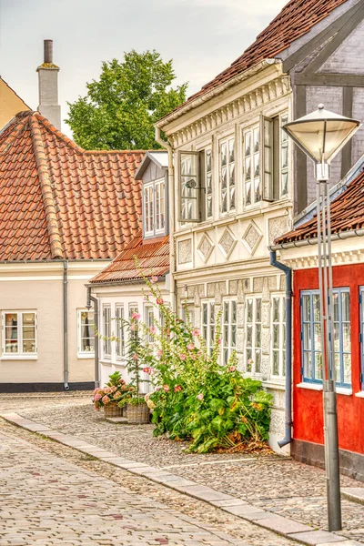 Odense Denemarken Augustus 2022 Historisch Centrum Zomer — Stockfoto