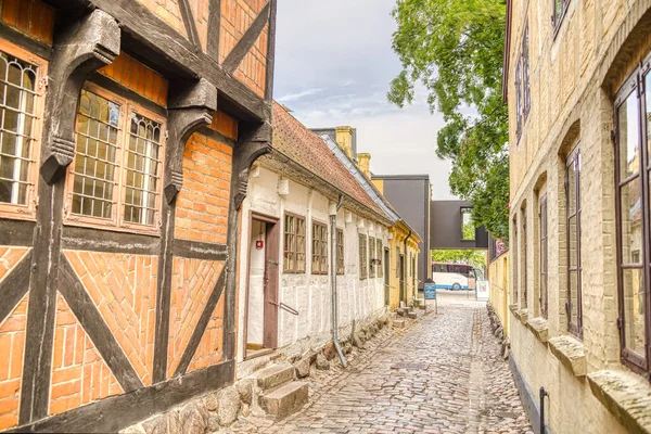 Odense, Danimarka - Ağustos 2022: Yazın Tarihi Merkez