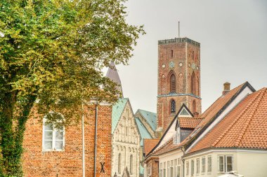 Ribe, Danimarka - Temmuz 2015: Yazın Tarihi Merkez