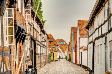 Ribe, Danimarka - Temmuz 2015: Yazın Tarihi Merkez