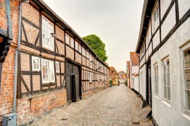 Ribe, Danimarka - Temmuz 2015: Yazın Tarihi Merkez