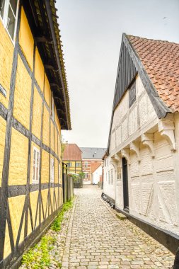 Ribe, Danimarka - Temmuz 2015: Yazın Tarihi Merkez