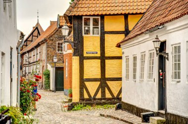 Ribe, Danimarka - Temmuz 2015: Yazın Tarihi Merkez