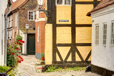 Ribe, Danimarka - Temmuz 2015: Yazın Tarihi Merkez