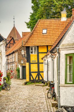 Ribe, Danimarka - Temmuz 2015: Yazın Tarihi Merkez