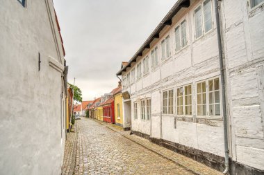 Ribe, Danimarka - Temmuz 2015: Yazın Tarihi Merkez