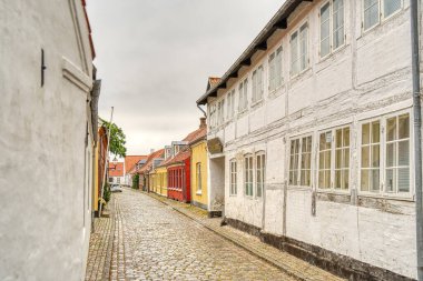 Ribe, Danimarka - Temmuz 2015: Yazın Tarihi Merkez