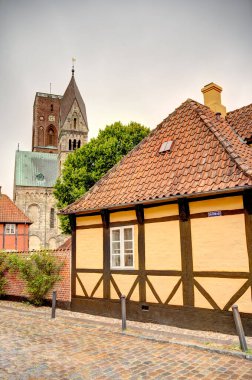 Ribe, Danimarka - Temmuz 2015: Yazın Tarihi Merkez