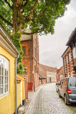 Ribe, Danimarka - Temmuz 2015: Yazın Tarihi Merkez
