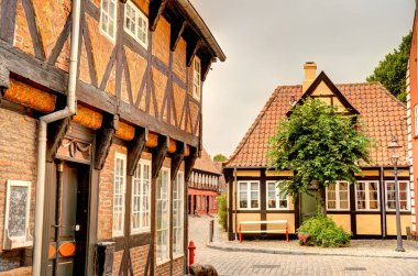 Ribe, Danimarka - Temmuz 2015: Yazın Tarihi Merkez