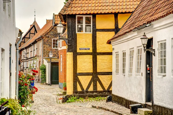 Ribe, Danimarka - Temmuz 2015: Yazın Tarihi Merkez