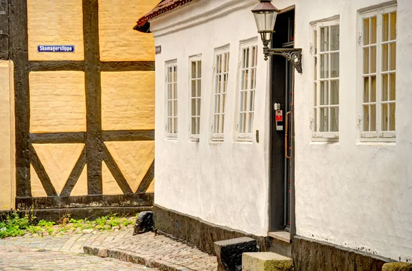 Ribe, Danimarka - Temmuz 2015: Yazın Tarihi Merkez