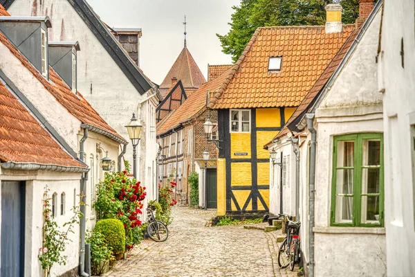 Ribe, Danimarka - Temmuz 2015: Yazın Tarihi Merkez
