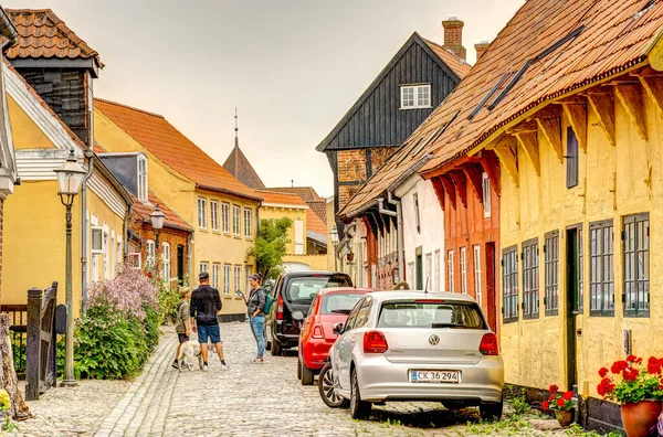 Ribe, Danimarka - Temmuz 2015: Yazın Tarihi Merkez