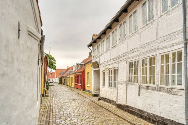 Ribe, Danimarka - Temmuz 2015: Yazın Tarihi Merkez