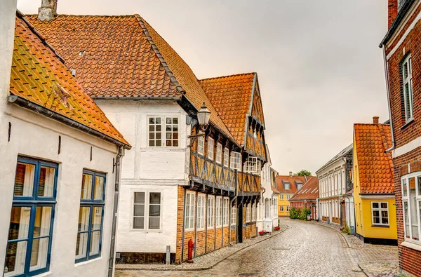Ribe, Danimarka - Temmuz 2015: Yazın Tarihi Merkez