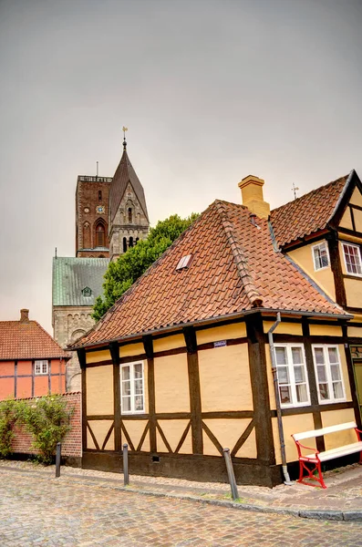 Ribe, Danimarka - Temmuz 2015: Yazın Tarihi Merkez