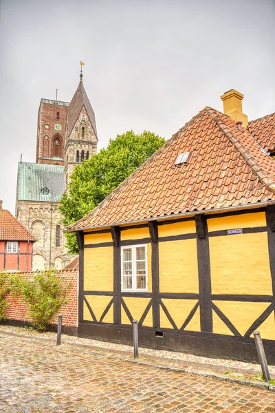 Ribe, Danimarka - Temmuz 2015: Yazın Tarihi Merkez