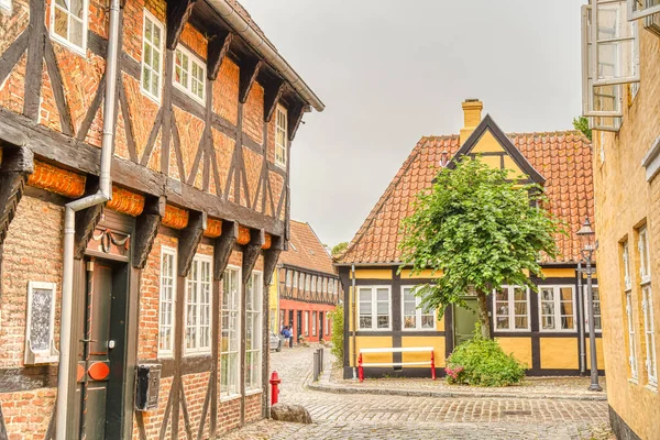 Ribe, Danimarka - Temmuz 2015: Yazın Tarihi Merkez