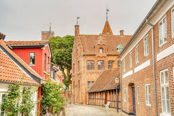 Ribe, Danimarka - Temmuz 2015: Yazın Tarihi Merkez