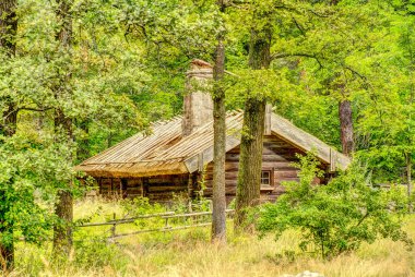 Stockholm, İsveç - Ağustos 2022: Skansen ve Curgarden, HDR Image