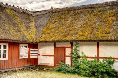 Stockholm, İsveç - Ağustos 2022: Skansen ve Curgarden, HDR Image