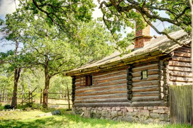 Stockholm, İsveç - Ağustos 2022: Skansen ve Curgarden, HDR Image