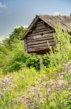 Stockholm, İsveç - Ağustos 2022: Skansen ve Curgarden, HDR Image