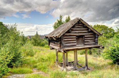 Stockholm, İsveç - Ağustos 2022: Skansen ve Curgarden, HDR Image